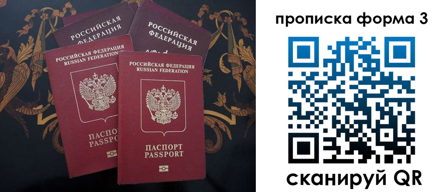 прописка законно в Мончегорске